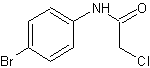N-(4-溴苯基)-2-氯乙酰胺