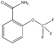 2-(三氟甲氧基)苯甲酰胺