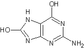 2-氨基-6,8-二羟基嘌呤