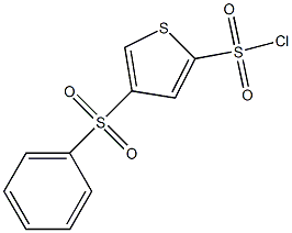 4-(苯磺酰基)噻吩-2-磺酰氯