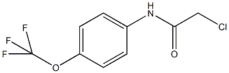 N-(氯乙酰)- 4-(三氟甲氧基) 苯胺