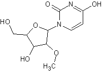 2'-O-甲基尿苷
