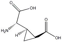 L-CCG-IV