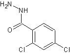 2,4-二氯苯酰肼