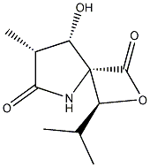 clasto-Lactacystin β-lactone