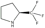 (S)-2-(三氟甲基)吡咯烷