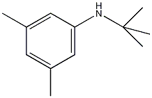 N-叔丁基-3,5-二甲基苯胺